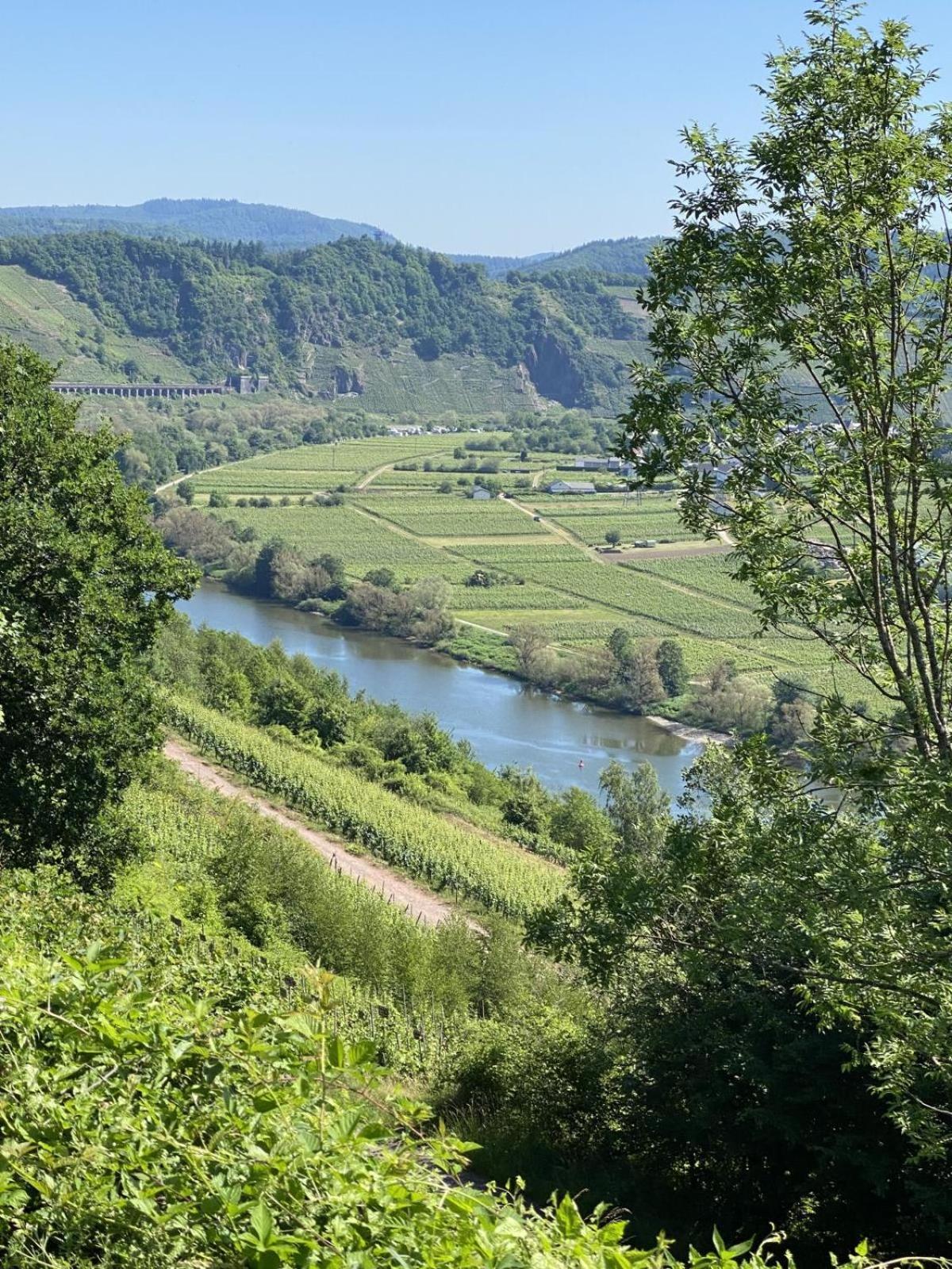 Willa Historisches Backhaus Enkirch Zewnętrze zdjęcie